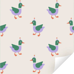 Inpakpapier - eendjes